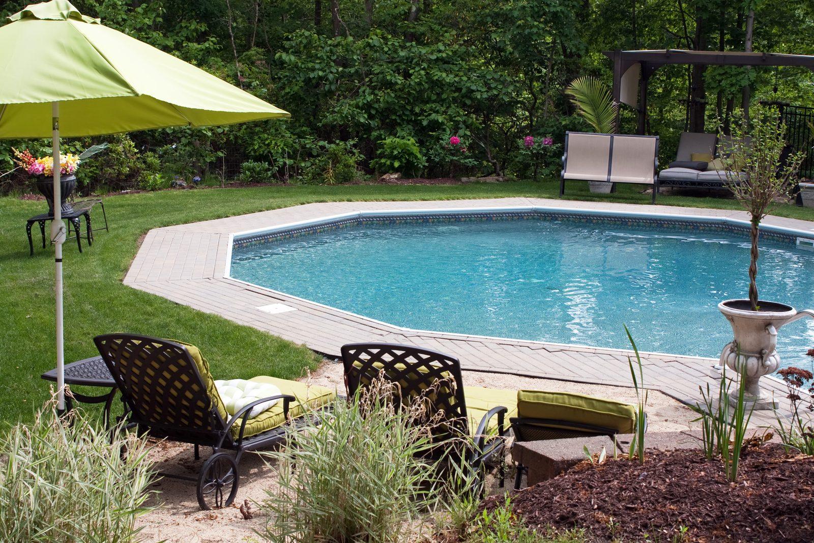 Local Fargo Gardeners Share Zone 4a Secrets for Thriving Yards